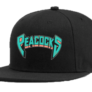 Casquette snapback flat