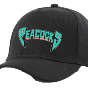 Casquette snapback baseball